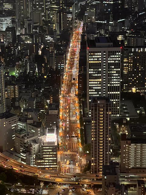 000030-tokyo-sakurada-dori-from-tokyo-tower